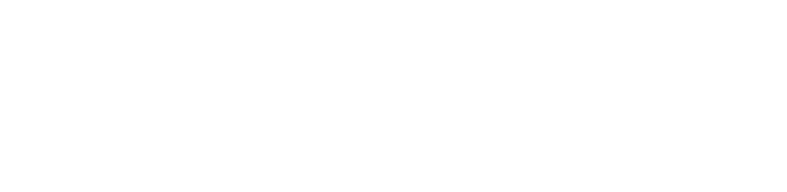 Astore logo