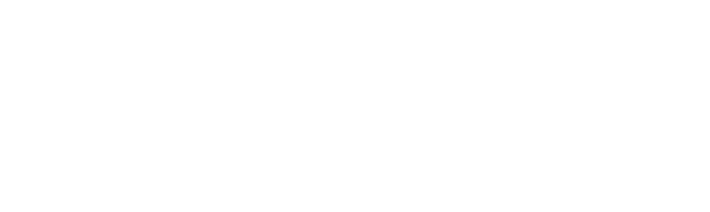 Naheed logo